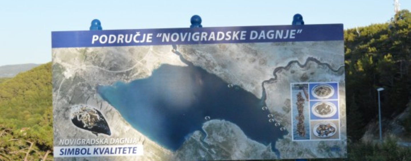 NOVIGRADSKA DAGNJA