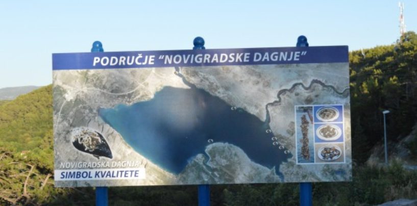 NOVIGRADSKA DAGNJA