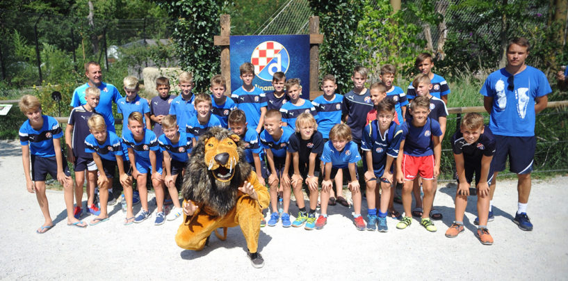 DINAMO SPONZOR LAVOVA