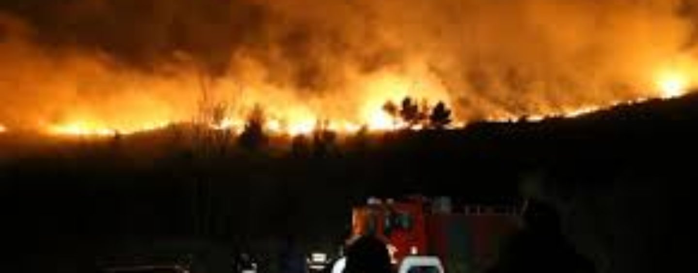 SPECIJALNI PIROMANSKI RAT