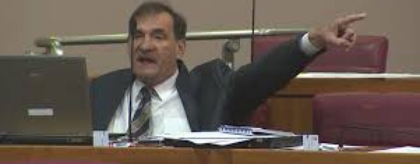 SHZ: PROTUUSTAVNI SDP