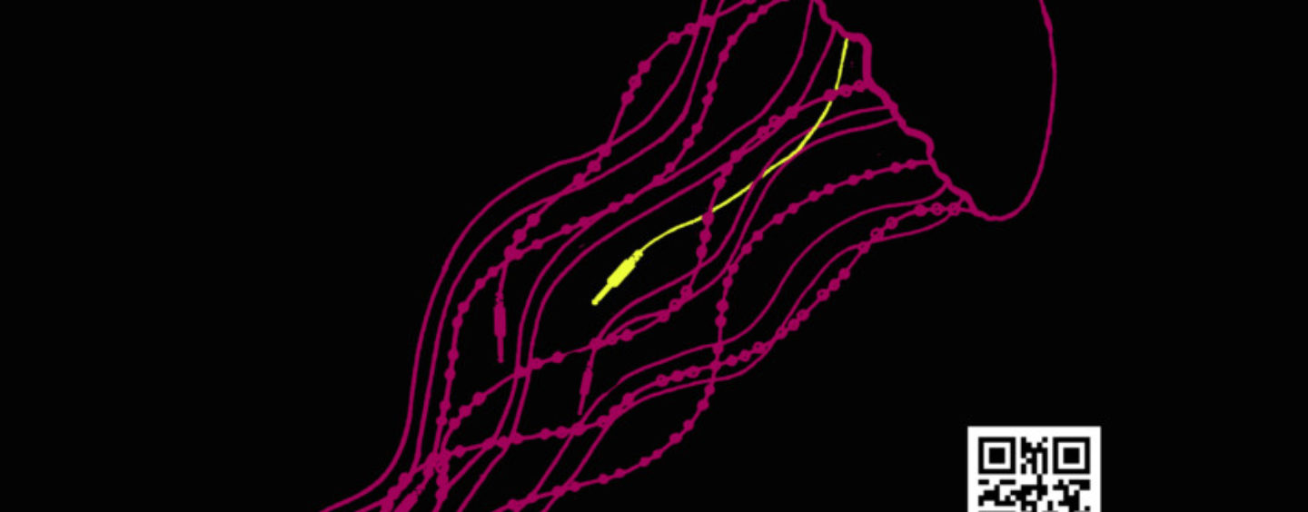 ISTARSKI “INDIREKT FESTIVAL” U BEOGRADU