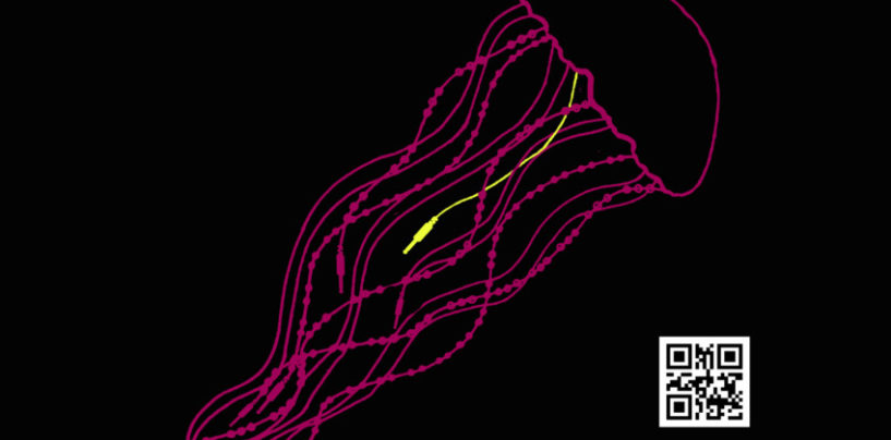 ISTARSKI “INDIREKT FESTIVAL” U BEOGRADU