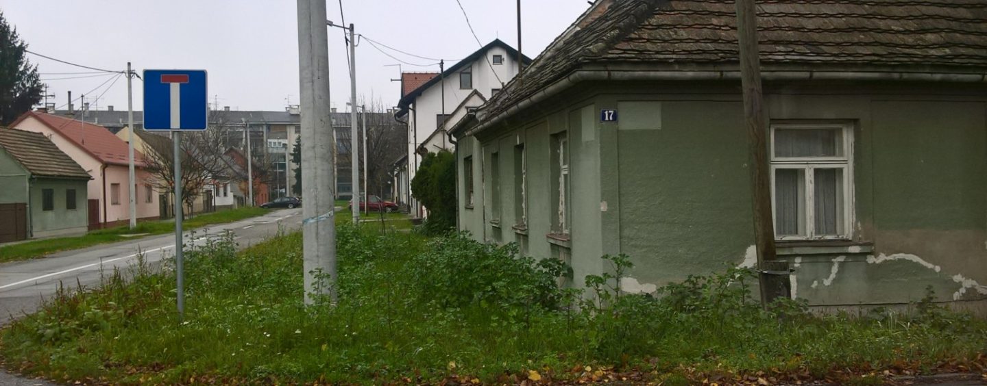 U SISKU KOROV DO PROZORA PRIZEMNICE