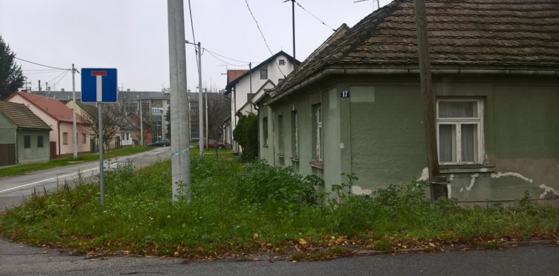 U SISKU KOROV DO PROZORA PRIZEMNICE