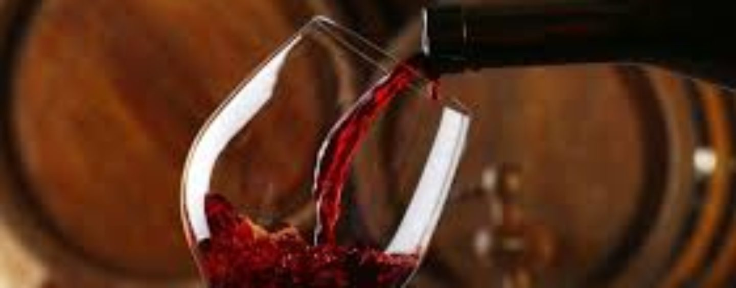 MARTINJE U SUNJSKOJ STAZI