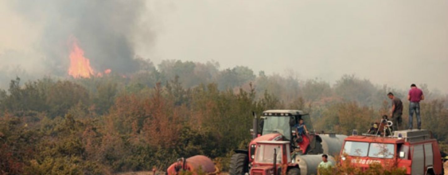 HHO O SLUČAJU JOSIPE ŽILIĆ