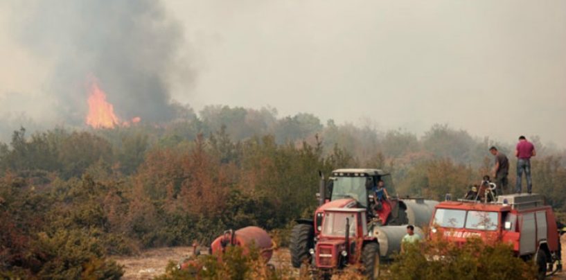 HHO O SLUČAJU JOSIPE ŽILIĆ
