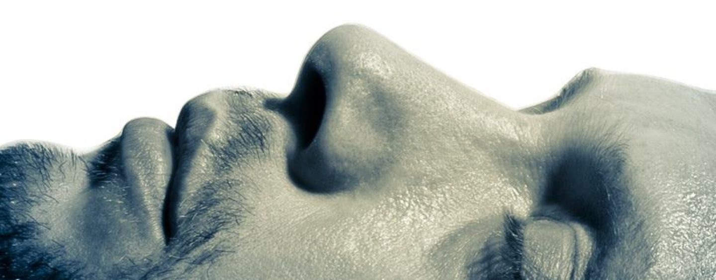 NOVA PJESMA ELVIRA BANDIĆA