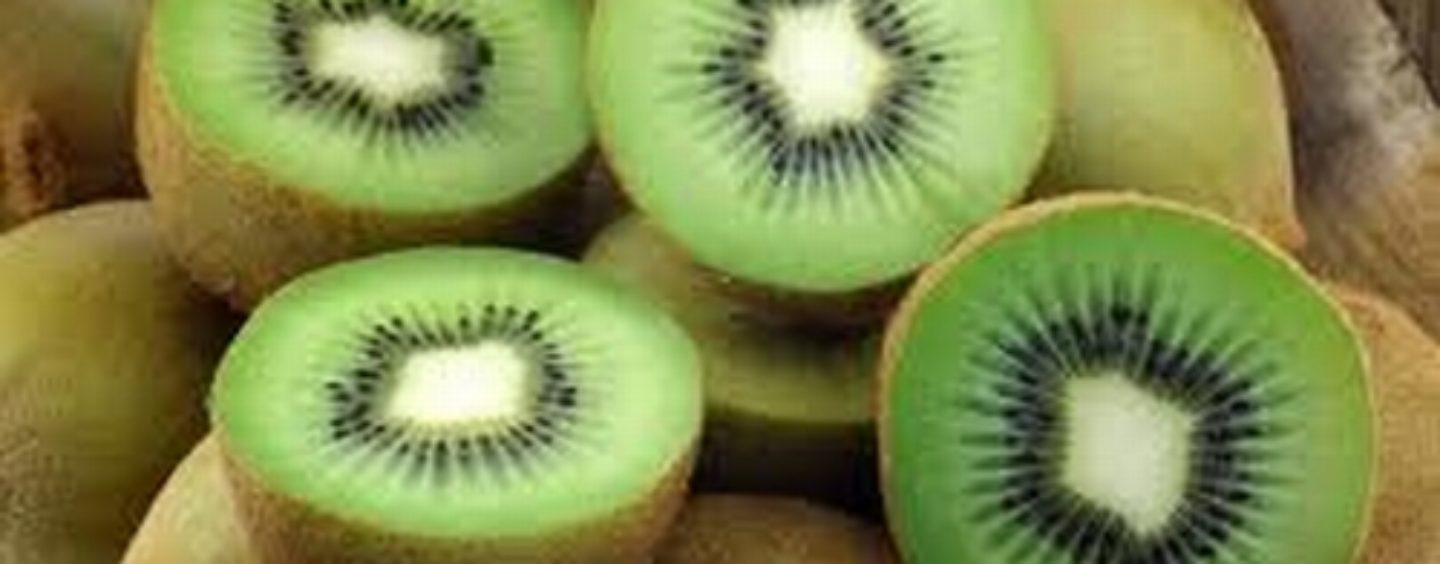 KIVI IZ JANJE PORED BIJELJINE