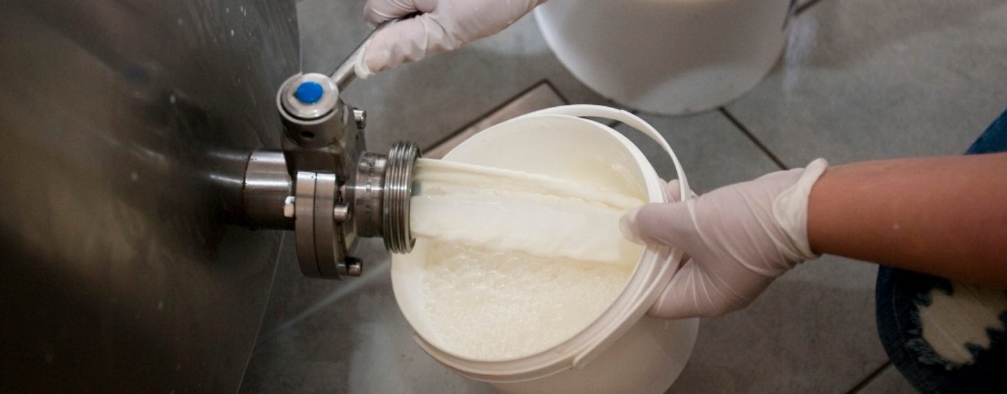 MLJEKARSTVO PREPUŠTENO PROPADANJU