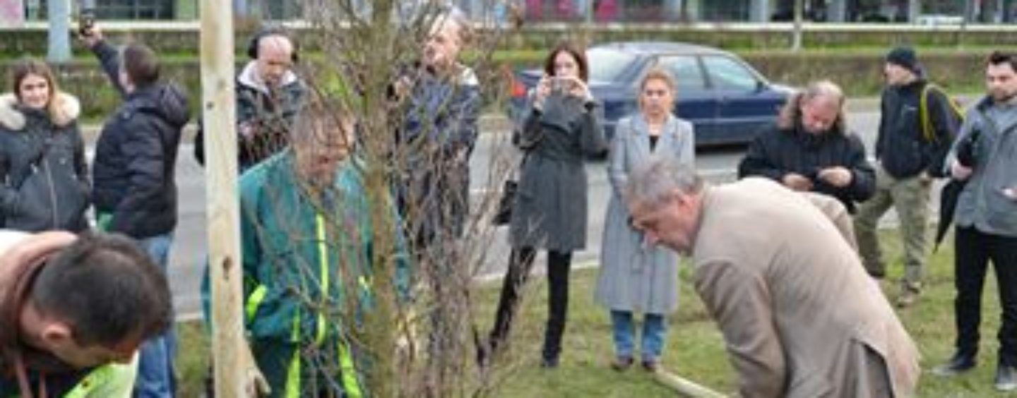 NAJDUŽA ALEJA LIPA U EUROPI