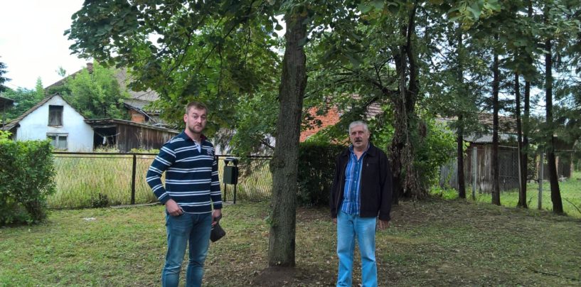 STOLJETNI ZLOČINI NAD HRVATIMA BANOVINE