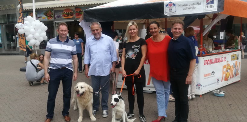 U ZAGREBU OVE GODINE 200 ŠTENACA OSTAVLJENO NA CESTI