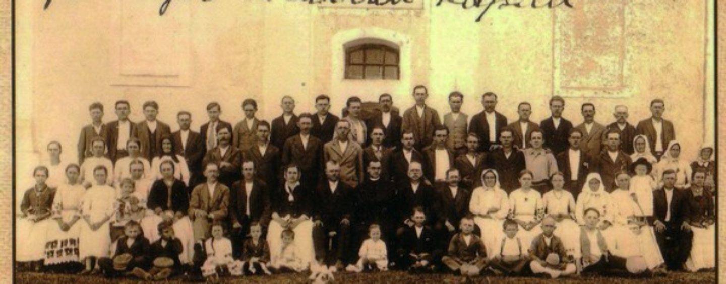 CRKVENE RADNE AKCIJE U BUČICI