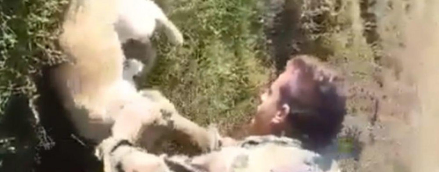 MUČENJE PASA U VOSCI SRBIJE