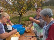 PICEKI KVARTETA IZ CEROVLJANA