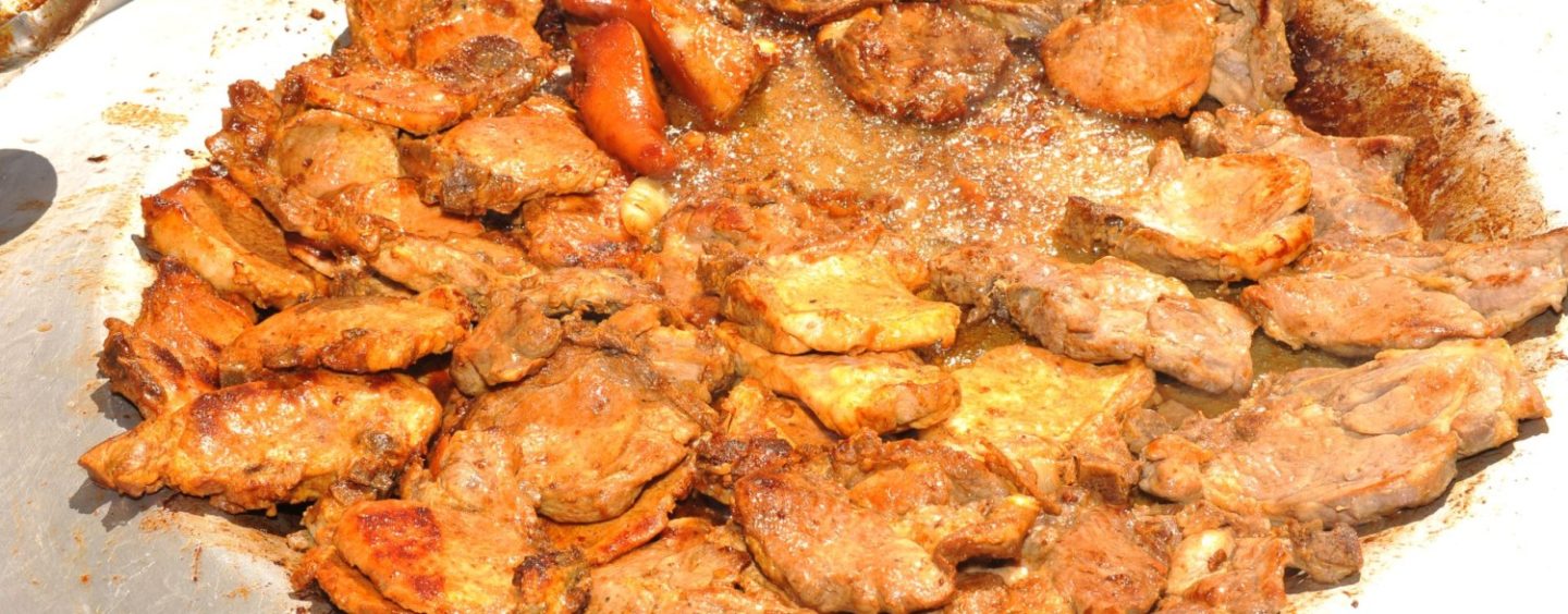 9. FESTIVAL SAMOBORSKE KOTLOVINE