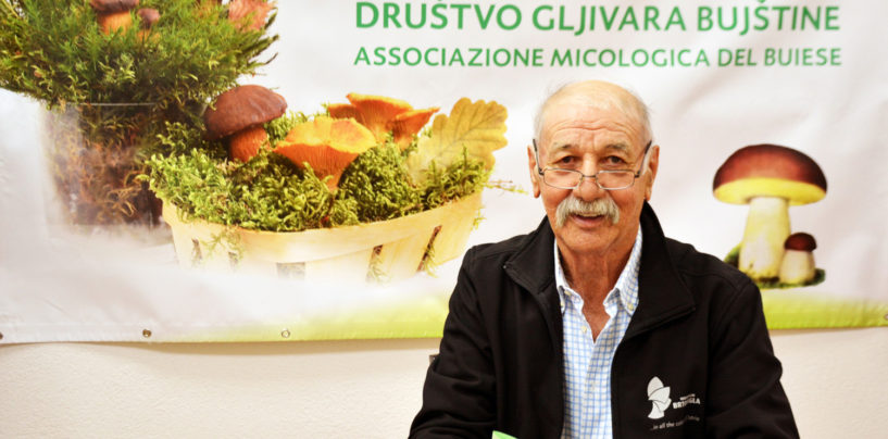 NA PODRUČJU ISTRE IMA 2000 VRSTA GLJIVA