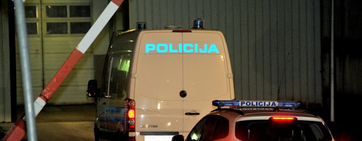 NEKOLIKO DANA U REMETINCU, A ZATIM U KULMEROVIM DVORIMA