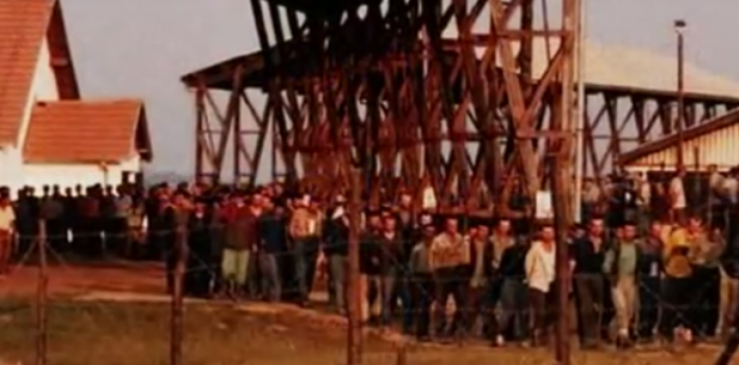 ZAŠTO DJECA U ŠKOLI NE UČE O SRPSKIM KONCENTACIJSKIM LOGORIMA?