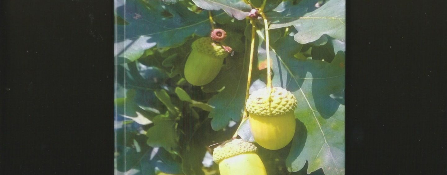 ZBIRKA DOMOLJUBNIH PJESAMA MARIJE DUBRAVAC