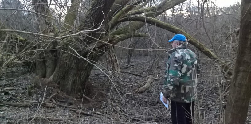 LOV VEPRA ISTJERAO ZLOČINCA KORAĆA