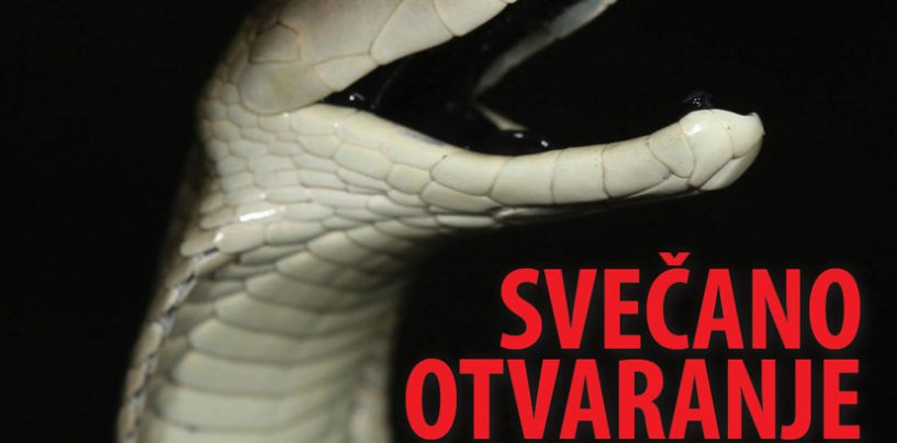NAJOTROVNIJE ZMIJE SVIJETA