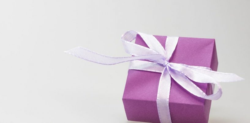 SVIBANJ MJESEC LEPTIRA