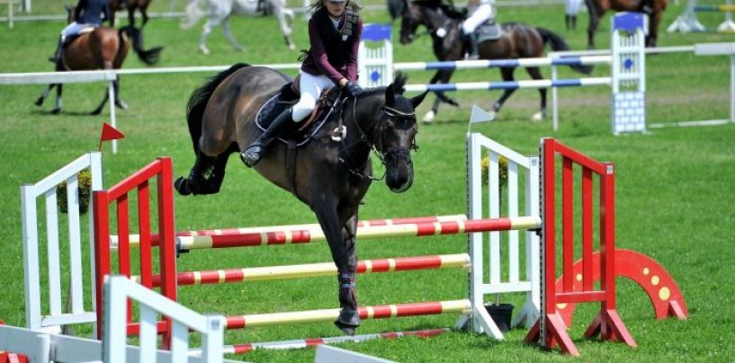 DOGOVORENO ISELJAVANJE HIPODROMA