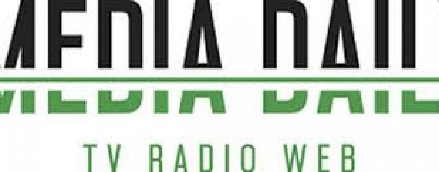 POVIJEST PRIVATNIH ELEKTRONIČKIH MEDIJIA