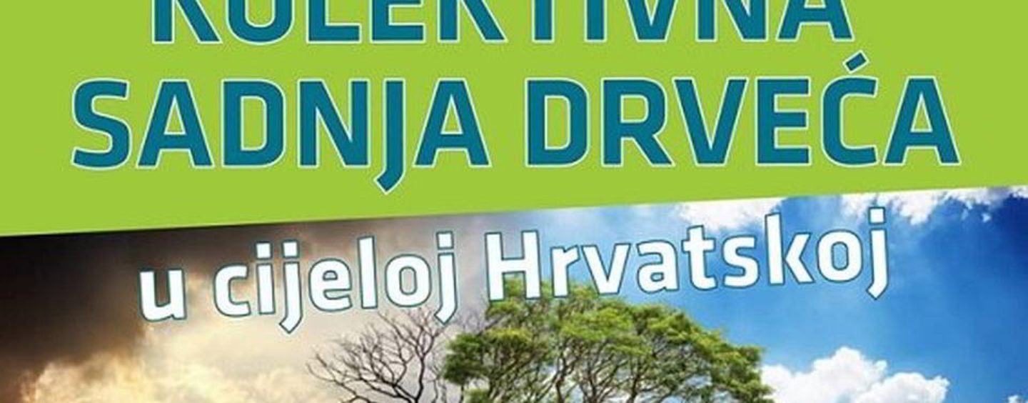 ZASADI DRVO, NE BUDI PANJ