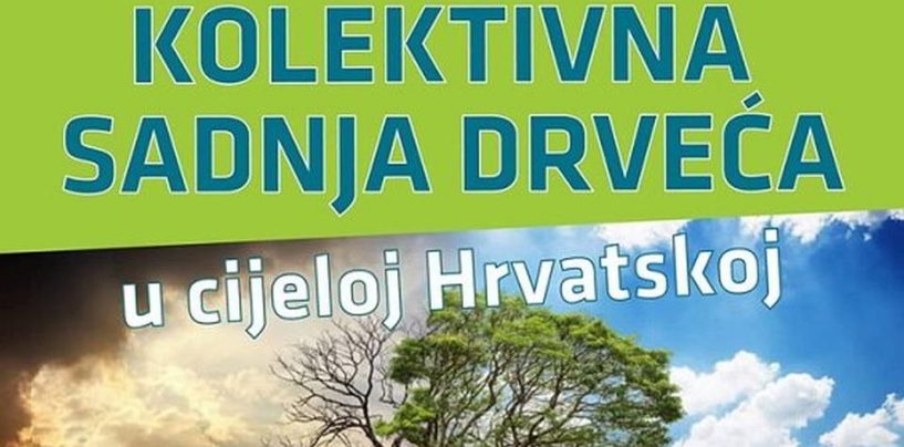 ZASADI DRVO, NE BUDI PANJ