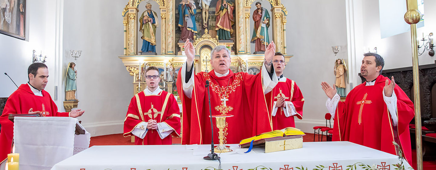 CVJETNICA BEZ NARODA