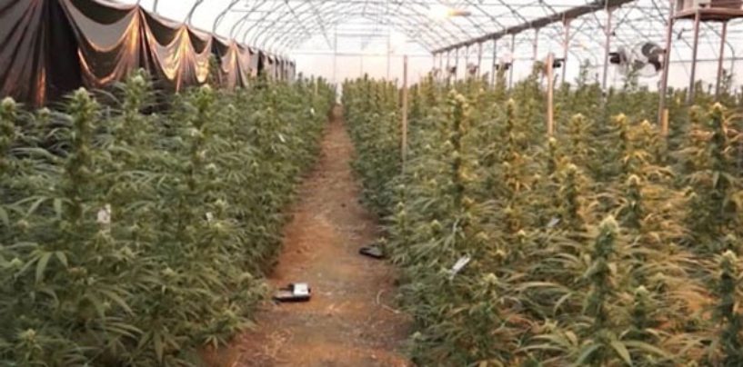 PLANTAŽA SRBIJANSKIH AGENATA I POLICAJACA