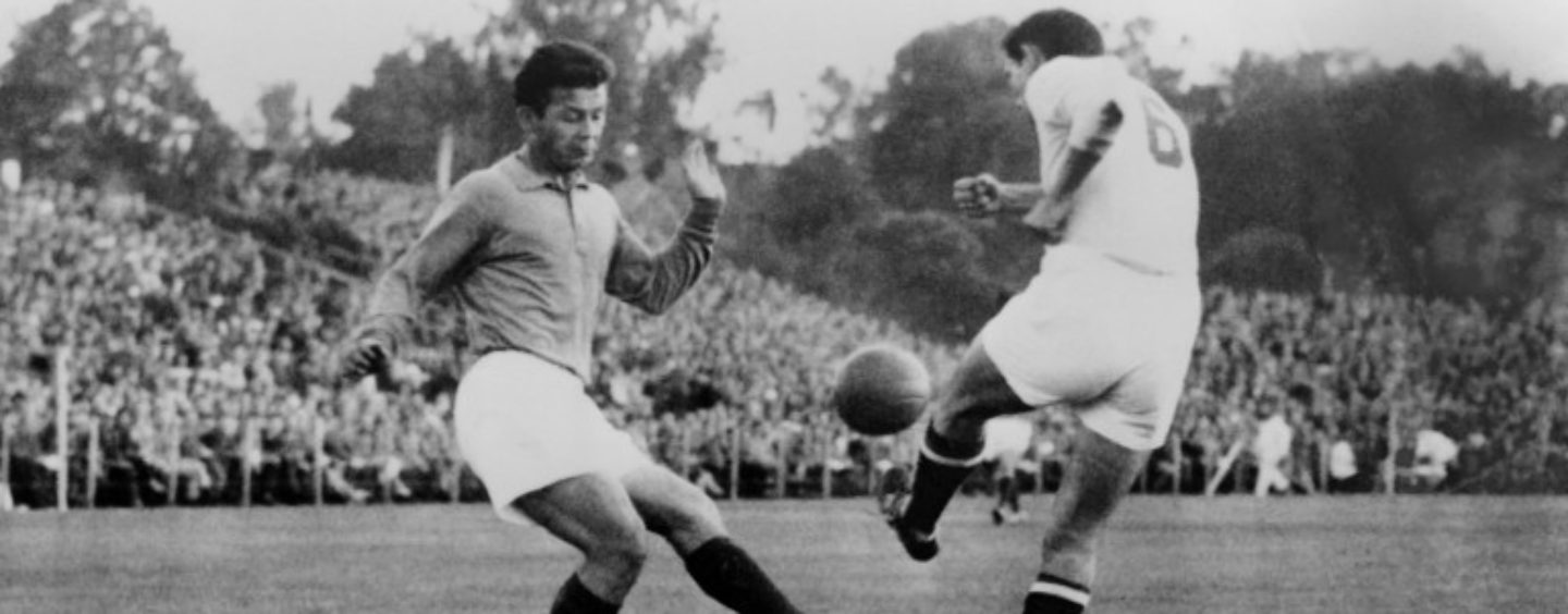 BBC SNIMIO FILM O ZEBECU