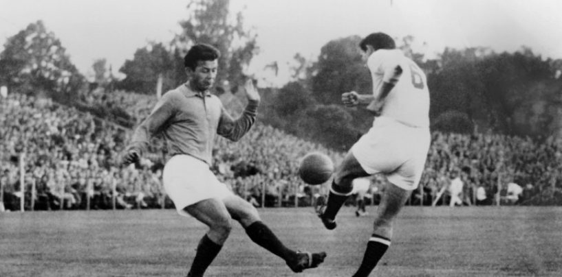 BBC SNIMIO FILM O ZEBECU