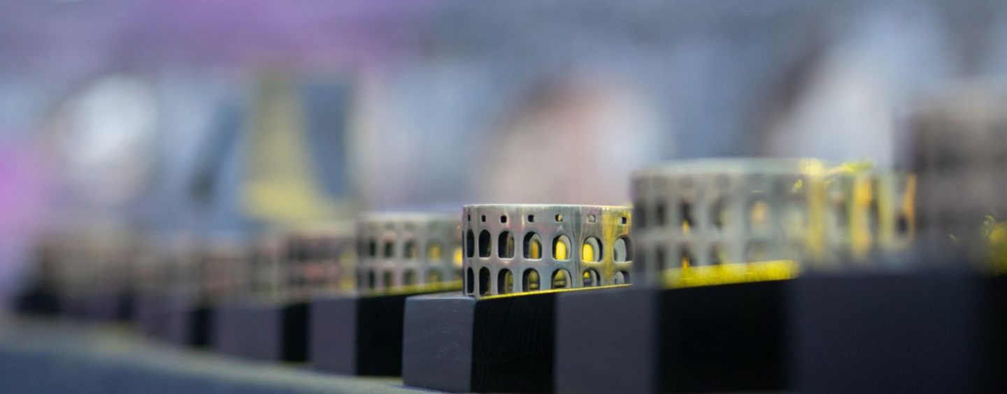 GLAVNE NAGRADE OCU I SINU ŠERBEDŽIJA