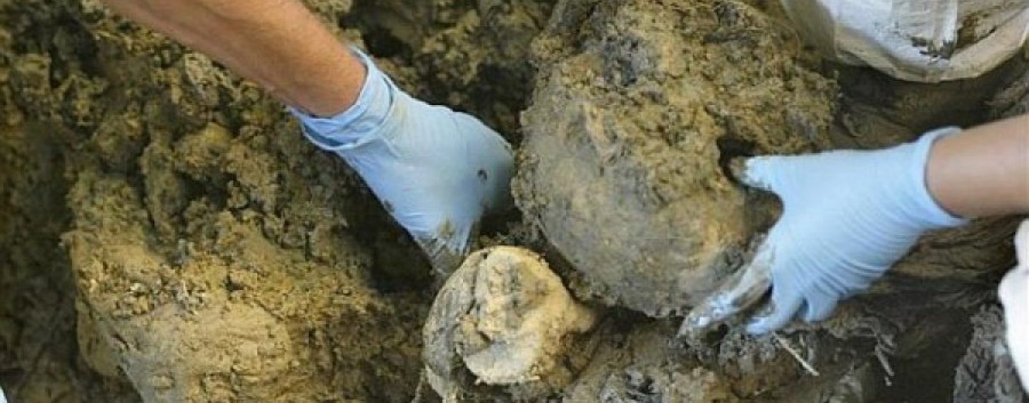 KOLIKO JE HRVATA ZAVRŠILO U MASOVNIM GROBNICAMA PO SRBIJI?