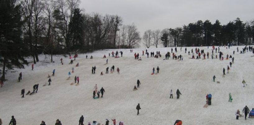 OTVORENJE SANJKALIŠTA NA CMROKU