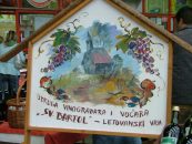 VINOGRADI NA LETOVANIČKOM VRHU