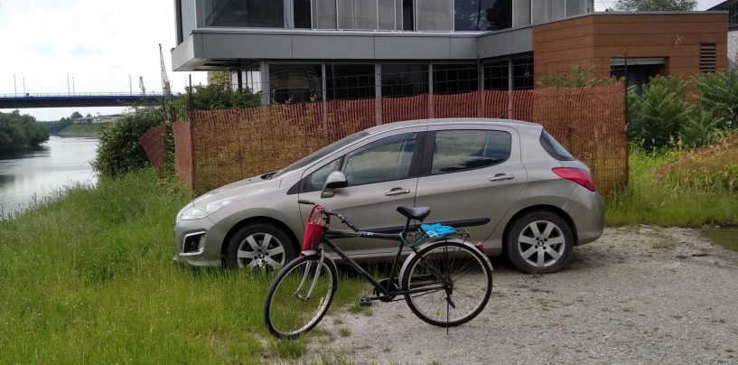 ZARASLI VIDIKOVAC NA KUPI