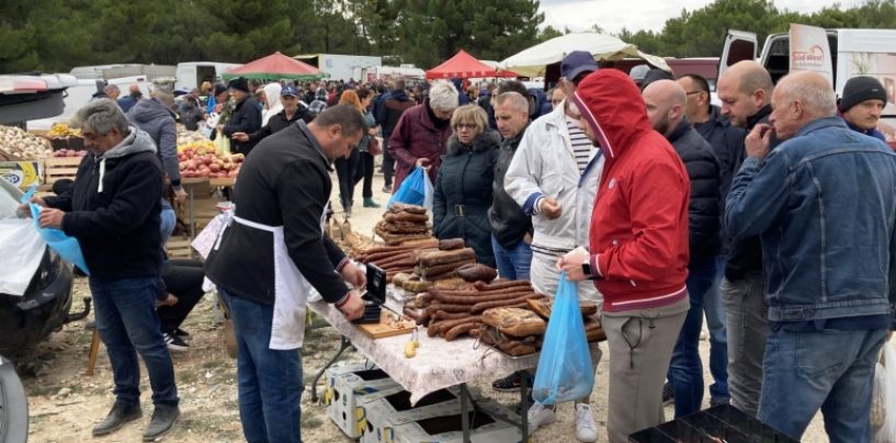 KOLONE PREMA BENKOVAČKOM SAJMU