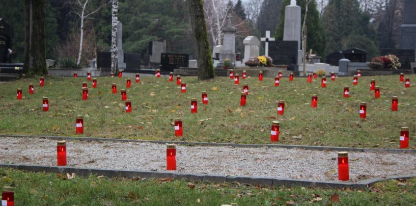 PROJEKTANT OBNOVE GROBLJA HRVATSKIH VOJNIKA JE IVICA PAUKOVIĆ