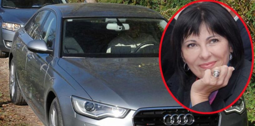 A IMALA JE AUDI ZA GRIJANJE GUZE