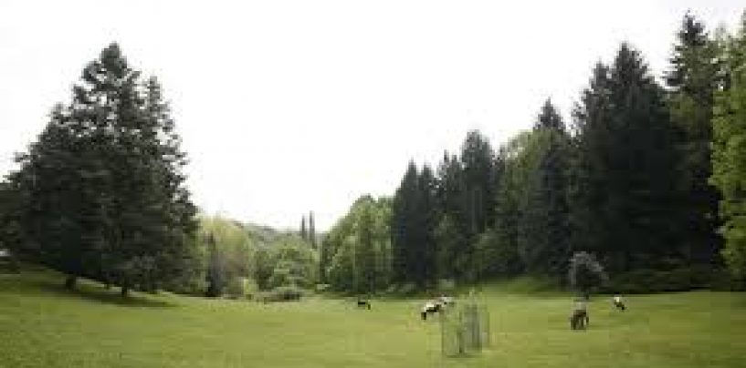 ŠUMU PANTOVČAK TREBA DATI GRAĐANIMA