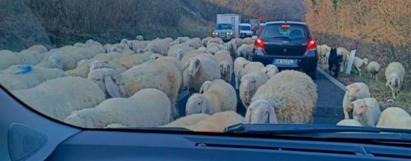 VUNENA BLOKADA IZMEĐU GLINE I DVORA