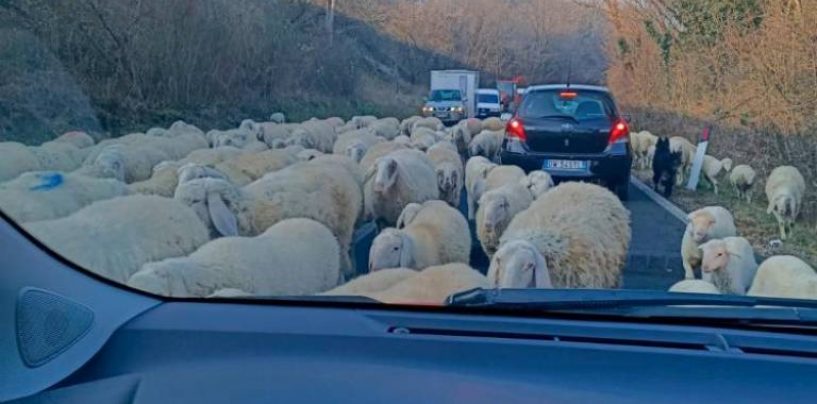 VUNENA BLOKADA IZMEĐU GLINE I DVORA