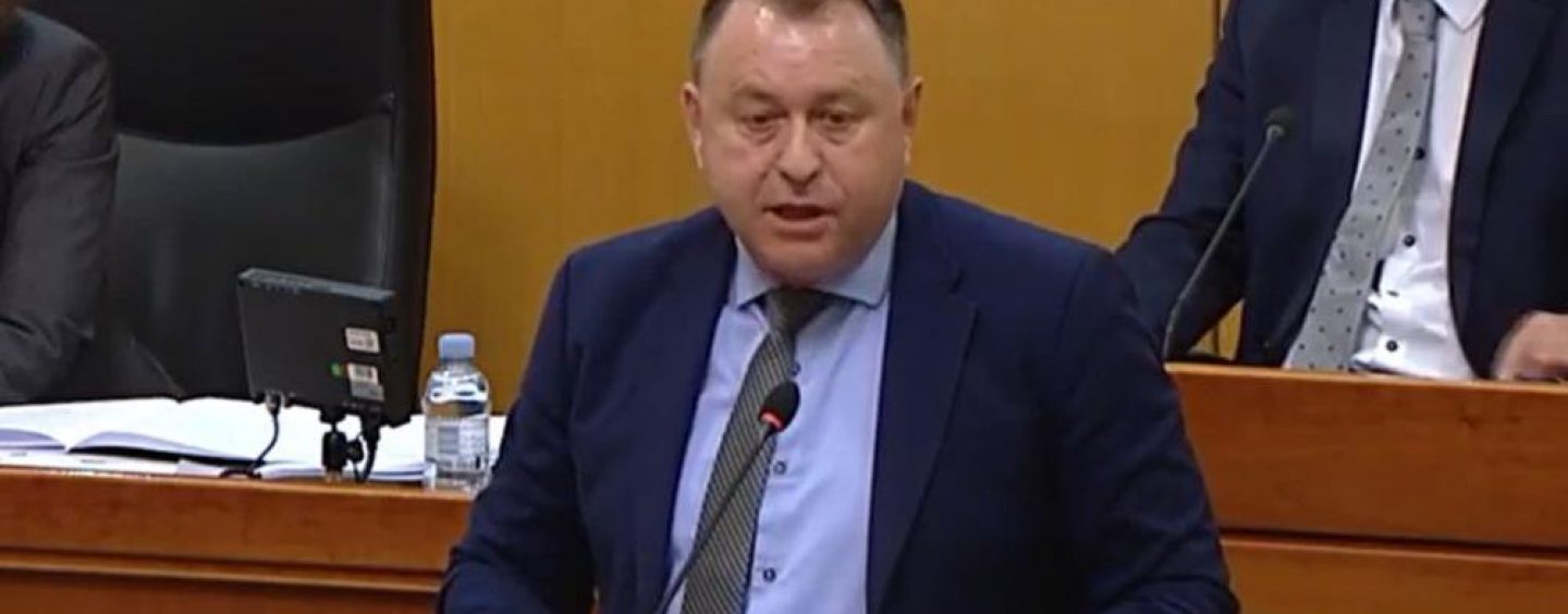 PLENKOVIĆEVA  GOVEDA