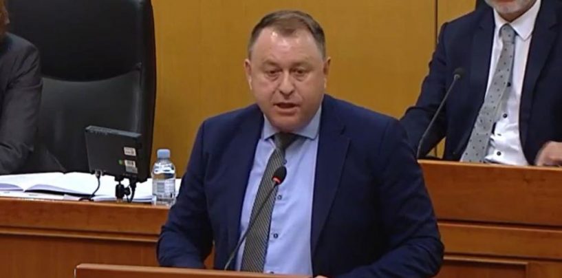 PLENKOVIĆEVA  GOVEDA